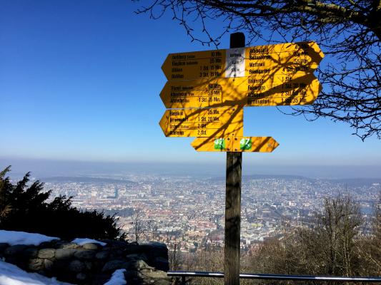 The hills around Zurich